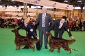 Crufts2011_2 187